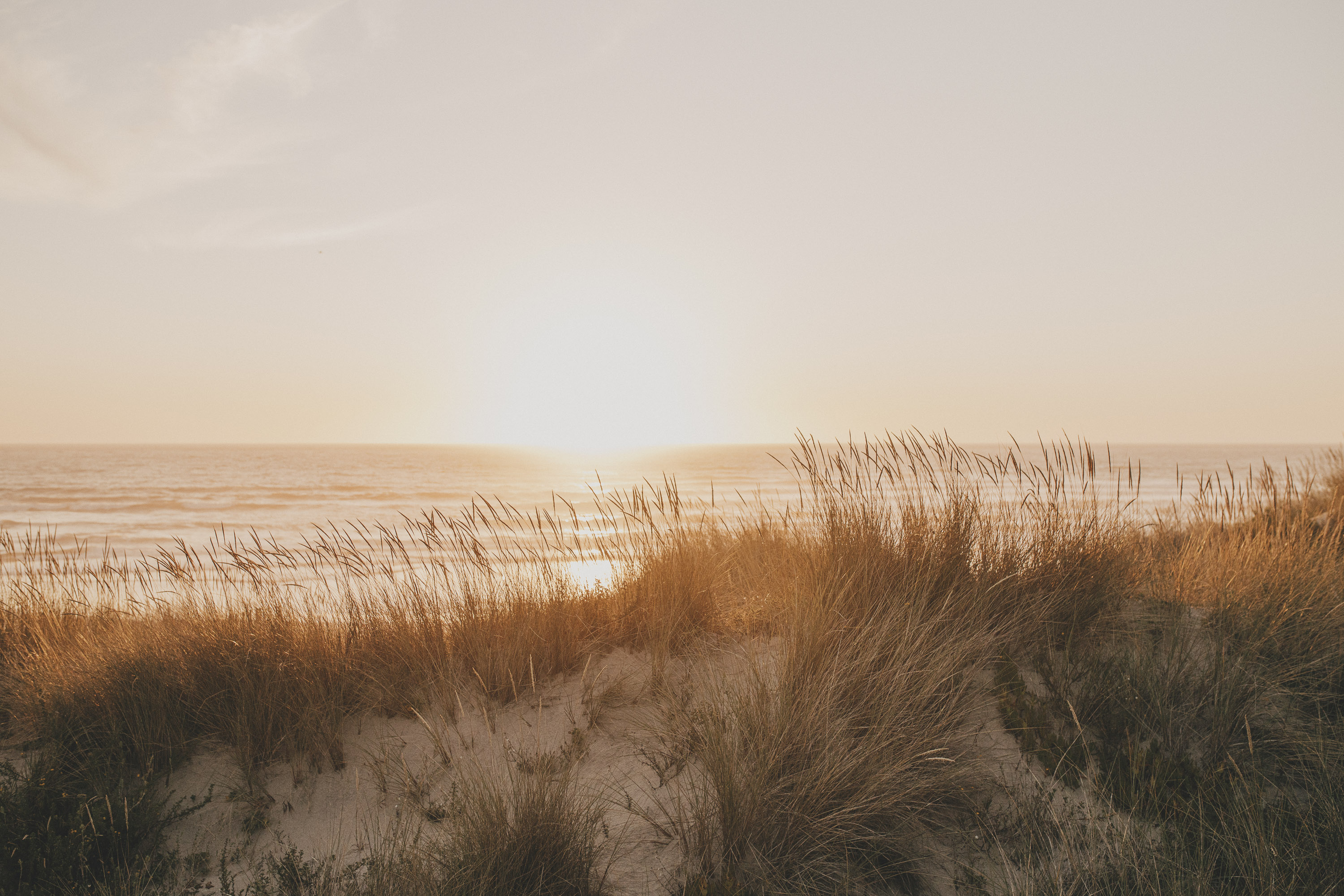 Sunset in the dunes looking to the sea